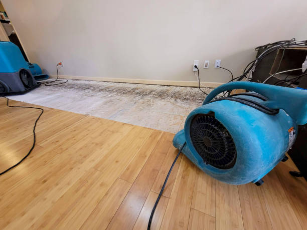 Reliable Burst Pipe Cleanup contractor in New Douglas, IL by San Diego Water Damage Company