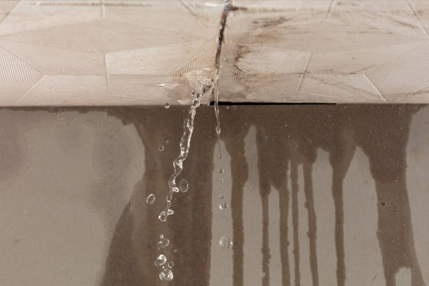 Professional Burst Pipe Cleanup technician working in New Douglas, IL